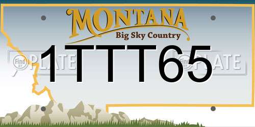 1TTT65 Montana License Plate