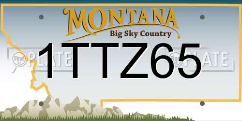 1TTZ65 Montana License Plate