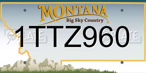 1TTZ960 Montana License Plate