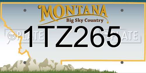 1TZ265 Montana License Plate