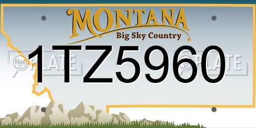 1TZ5960 Montana License Plate