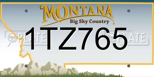 1TZ765 Montana License Plate