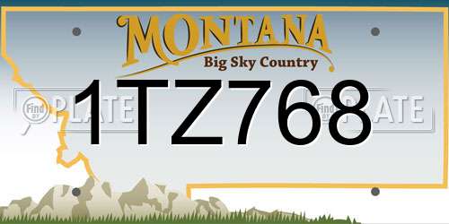 1TZ768 Montana License Plate