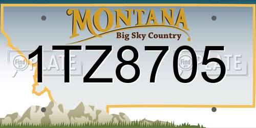 1TZ8705 Montana License Plate