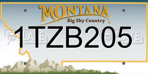 1TZB205 Montana License Plate
