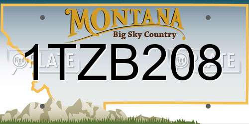 1TZB208 Montana License Plate