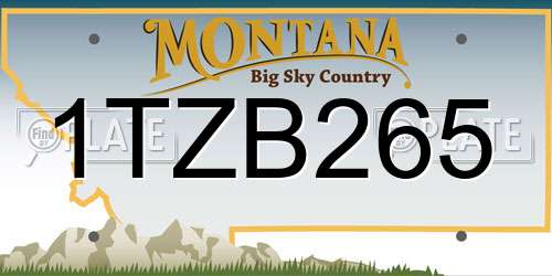 1TZB265 Montana License Plate