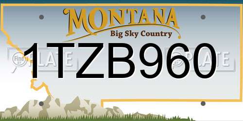 1TZB960 Montana License Plate