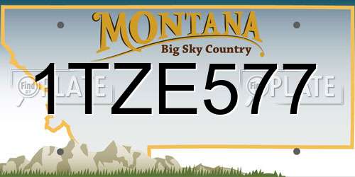 1TZE577 Montana License Plate