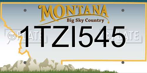 1TZI545 Montana License Plate