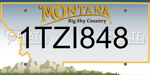 1TZI848 Montana License Plate
