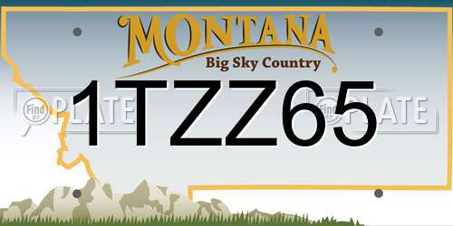1TZZ65 Montana License Plate