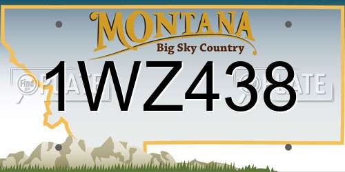 1WZ438 Montana License Plate