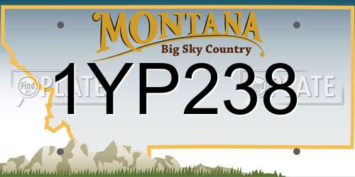 1YP238 Montana License Plate