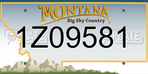 1Z09581 Montana License Plate