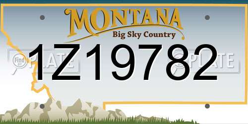 1Z19782 Montana License Plate