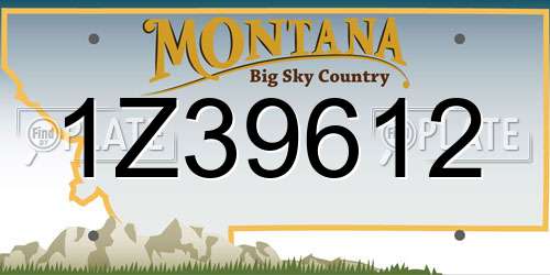 1Z39612 Montana License Plate