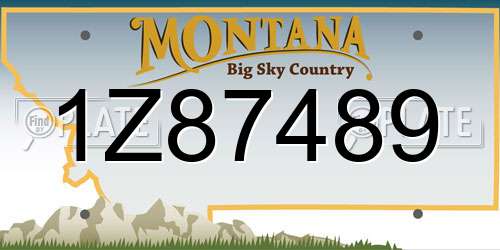 1Z87489 Montana License Plate