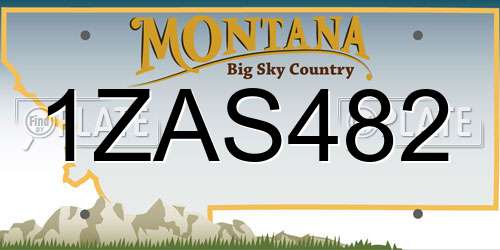 1ZAS482 Montana License Plate