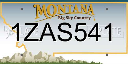 1ZAS541 Montana License Plate