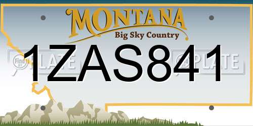 1ZAS841 Montana License Plate
