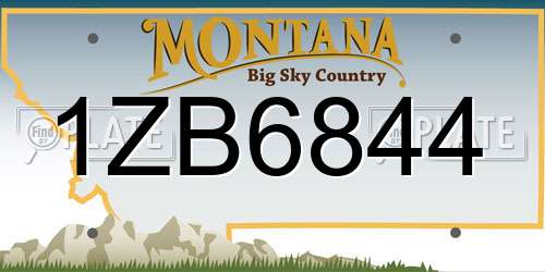 1ZB6844 Montana License Plate