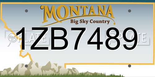1ZB7489 Montana License Plate