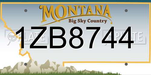 1ZB8744 Montana License Plate