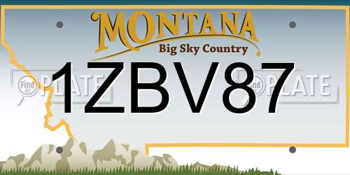 1ZBV87 Montana License Plate