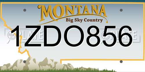1ZDO856 Montana License Plate