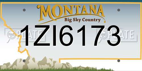 1ZI6173 Montana License Plate
