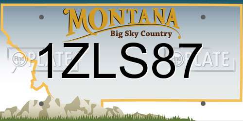 1ZLS87 Montana License Plate