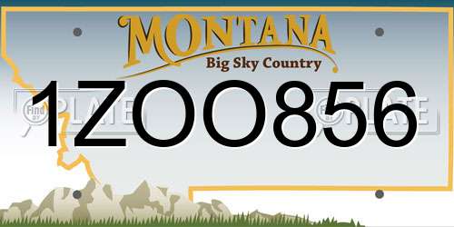 1ZOO856 Montana License Plate