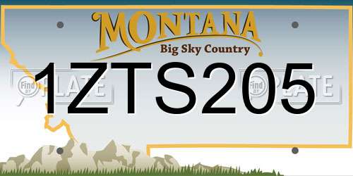 1ZTS205 Montana License Plate