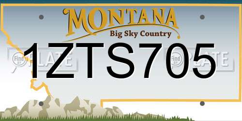 1ZTS705 Montana License Plate