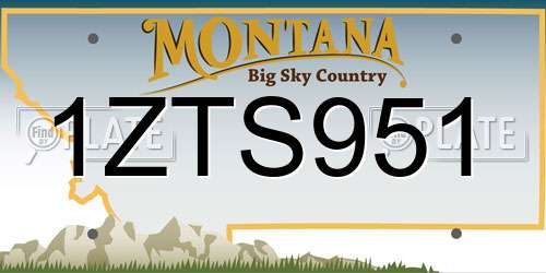 1ZTS951 Montana License Plate