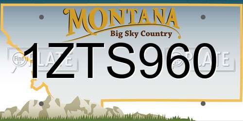 1ZTS960 Montana License Plate