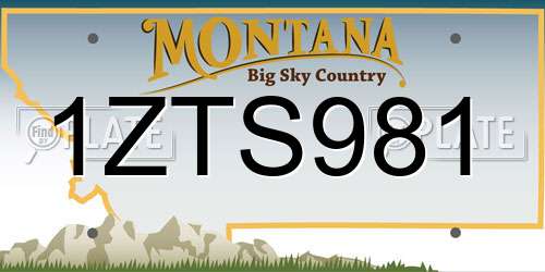 1ZTS981 Montana License Plate