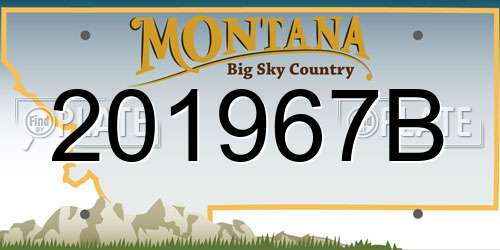 201967B Montana License Plate