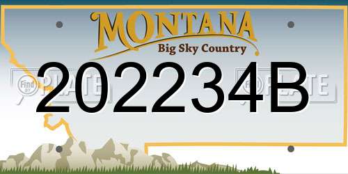 202234B Montana License Plate