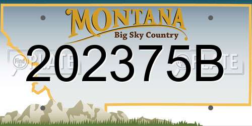 202375B Montana License Plate
