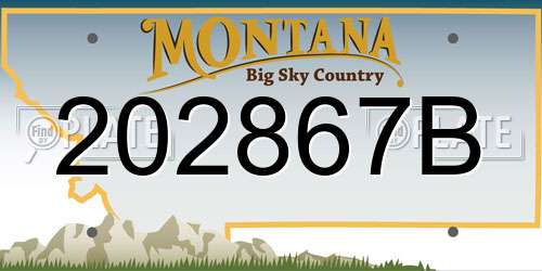 202867B Montana License Plate