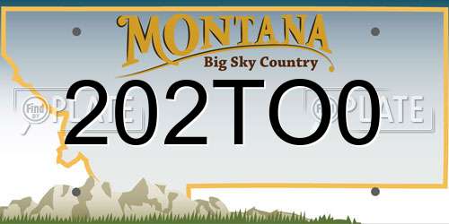 202TO0 Montana License Plate