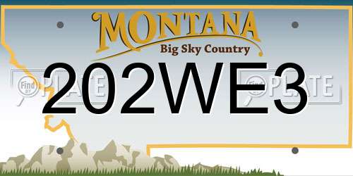 202WE3 Montana License Plate