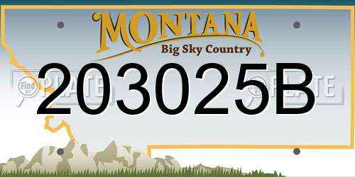 203025B Montana License Plate