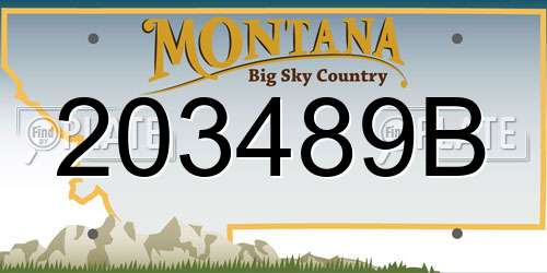 203489B Montana License Plate