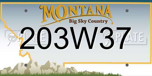 203W37 Montana License Plate
