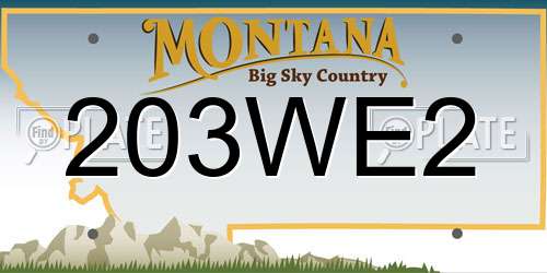 203WE2 Montana License Plate