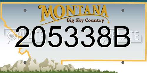 205338B Montana License Plate