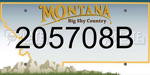 205708B Montana License Plate
